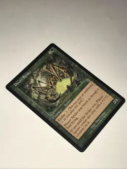 Magic the Gathering Pincer Spider Card - Image 3