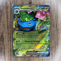 Pokemon TCG Venusaur & Blastoise ex Stellar Crown Stamped Box Promos NM - Image 2
