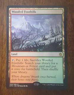 Wooded Foothills | LP | Khans of Tarkir | KTK #249 | MTG - Image 1