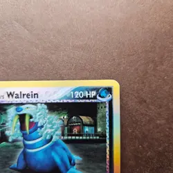 Team Aqua's Walrein 6/95 Pokemon EX Team Magma vs Team Aqua Reverse Holo Card LP - Image 3