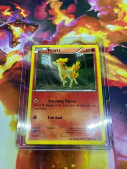Ponyta 16/114 XY - Steam Siege Regular LP-Lightly Played Pokemon TCG - Image 5