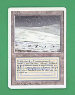 Magic The Gathering MTG Tundra (Revised) (D) - Image 1