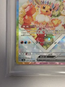 PSA 10 Eevee ex SAR 224/187 Terastal Festival sv8a Pokemon Card Japanese TCG - Image 5