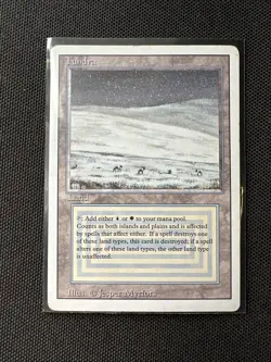Magic the Gathering Tundra Revised Edition Dual Land Regular Card - Image 1