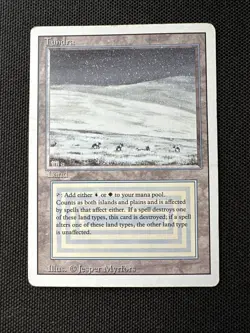 Magic the Gathering Tundra Revised Edition Dual Land Regular Card - Image 2