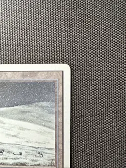 Magic the Gathering Tundra Revised Edition Dual Land Regular Card - Image 4