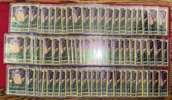 Lot of 73 Pokemon Pikachu Celebrations 005/025 NM In Top Loaders - Image 3