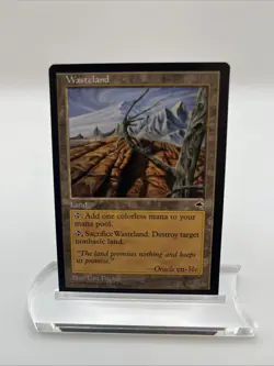 Wasteland Tempest 1997 Excellent Mtg Magic The Gathering Illus. Una Fricker - Image 1