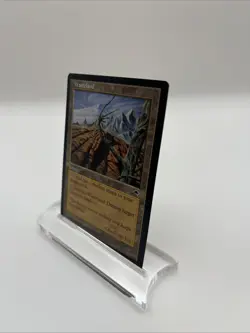 Wasteland Tempest 1997 Excellent Mtg Magic The Gathering Illus. Una Fricker - Image 3