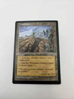 Wasteland Tempest 1997 Excellent Mtg Magic The Gathering Illus. Una Fricker - Image 5