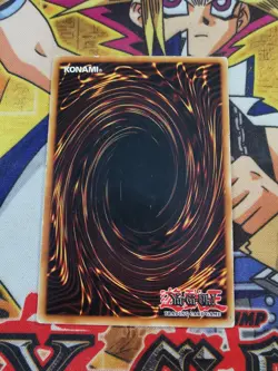 Des Koala 5ds2-en011 1st Edition (MP/HP) Common Yu-Gi-Oh! - Image 4