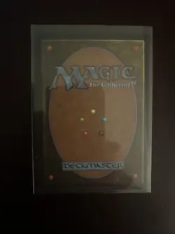 Force of Will Alliances Regular MTG NM/LP - Image 3