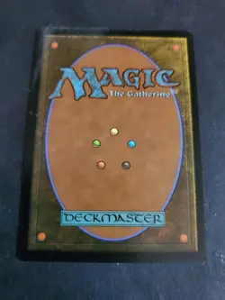 Evolving Wilds (353) Showcase Adventures in the Forgotten Realms AFR MTG NM - Image 2