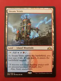 Steam Vents GNR #257 MtG - Image 1