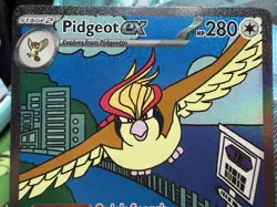 Pokemon TCG Lot of 3 - Obsidian Flames - Pidgey, Pidgeotto, & Pidgeot - Image 4