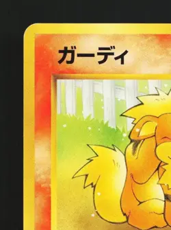 Growlithe No.058 LP Intro Pack Squirtle Japanese Pokemon Card TCG - Image 4
