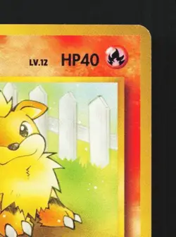 Growlithe No.058 LP Intro Pack Squirtle Japanese Pokemon Card TCG - Image 5