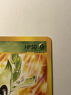 Celebi 007/P Trainer's Magazine Promo Vol. 13 E-Series Japanese Card - MP - Image 5