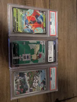 Pokemon Lot Of 3 Slabs - 2 PSA 10s Starly Orbeetle Cgc 8.5 Pidgeotto - Damaged - Image 1