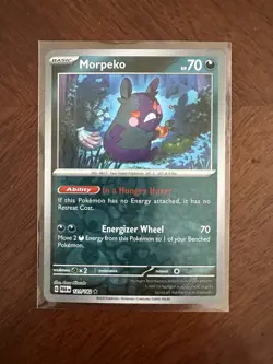 Pokemon - Paradox Rift - Morpeko - 121/182 - Reverse Holo - NM - Image 1