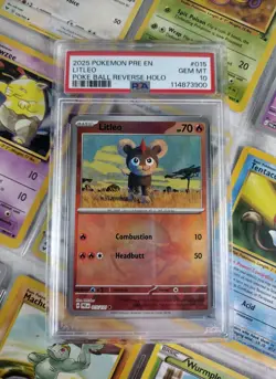 PSA 10 Gem Mint! - 2025 Pokemon Litleo Poke Ball Reverse Holo #15 with Goodies! - Image 1