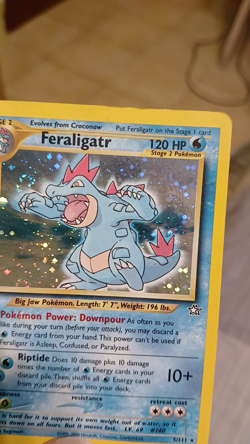 Feraligatr 1st Edition ENG "Double Swirl" Neo Genesis 5/111 Rara Holo Pokemon - Image 2