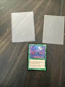 MTG Magic The Gathering Card Skyshroud Claim 117/143 Foil - Image 1