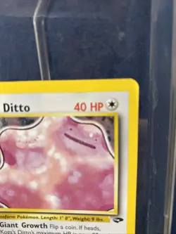 Pokemon TCG Koga's Ditto #132 Gym Challenge 10 Holo 10/132 - Image 3