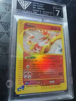 Skyridge Moltres Reverse Holo 21/144 Get Graded 7 Original Pokemon Card Wotc - Image 3