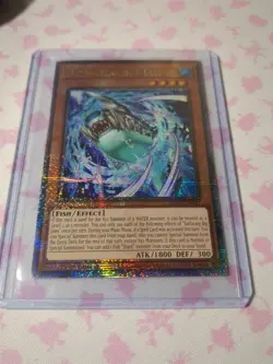 Yu-Gi-Oh English Surfacing Big Jaws Quarter Century Rare ROTA-EN001 - Image 4