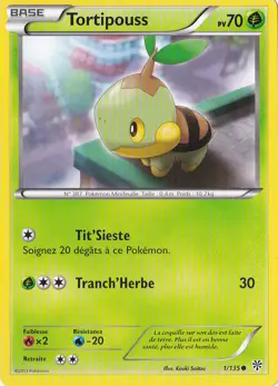 Tortipouss -N&B:Tempete Plasma-1/135-Carte Pokemon Francaise - Image 1
