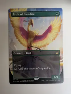 MTG - Birds of Paradise - RVR - R - Anime Borderless - 432 - Image 1