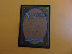 MTG Llanowar Elves 168/269 Open House Promo Alt Full Art Foil - Image 2