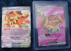 Pokemon TCG Bundle - 160/142 Dachsbun EX Full-Art - 067/142 Dachsbun EX Holo - Image 1