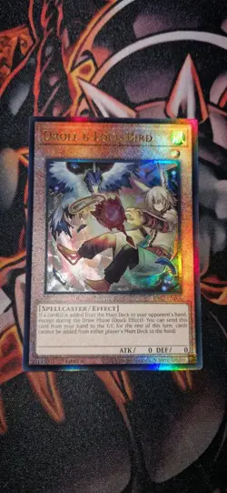 RA02-EN006 Droll & Lock Bird (Alt Art) Collectors Rare 1st Edition YuGiOh! - Image 1