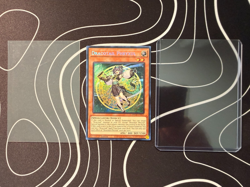 Dracotail Phryxul (SECRET RARE) DOOD-EN023 (NM) 1st Ed Konami Yu-Gi-Oh! - Image 2