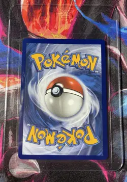 ?? Pokemon TCG Mega Charizard X EX 023 - Black Star Promo - English Promo Card - Image 2