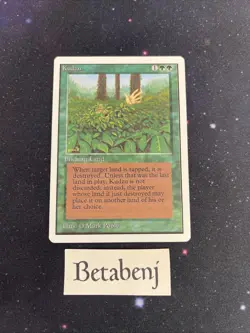 1x MTG Unlimited Kudzu from Estate Collection - Image 1