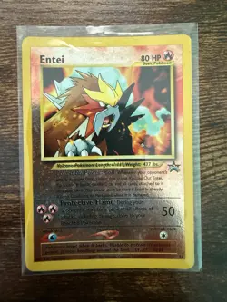 Two Legendary Dogs Entei Promo 34 reverse holo And Raikou 22/64 Pokemon Tcg Rare - Image 2