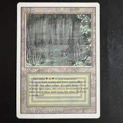 Magic the Gathering Bayou Revised Edition Moderately Played Dual Land - Image 1