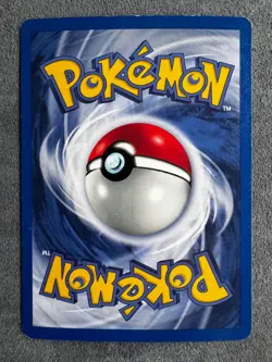 1999-2000 Pokemon KNUDDELUFF HOLO Dschungel 16/64 WOTC DE - Image 2