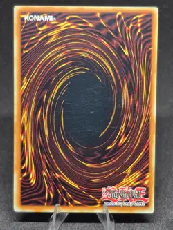 Yu-Gi-Oh! Foolish Burial SDRL-EN020 Rise of the Dragon Lords 1st Edition NM - Image 2