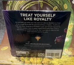 MTG Wilds Of Eldraine Collector Booster Box Sealed - Image 2