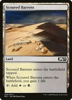 MTG Core 2021 C Scoured Barrens #250 PLAYSET x4 4x - Image 1