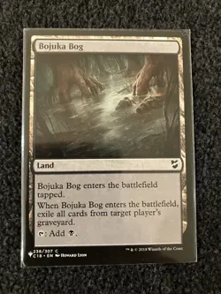 Magic The Gathering MTG - Bojuka Bog - Commander 2019 - Image 1