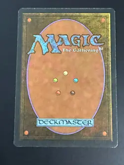 MTG - Adarkar Wastes - Ice Age - 1x NM (Magic: The Gathering) - Image 2