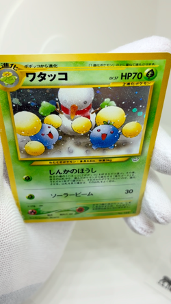 Jumpluff No 189 Holo Pokemon Card Japanese Awakening Legends Old Back Vintage - Image 2