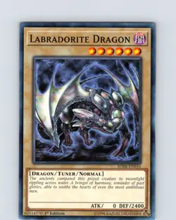 Yu-Gi-Oh TCG Labradorite Dragon SDRR-EN016 1st Edition Regular Common Card NM - Image 1