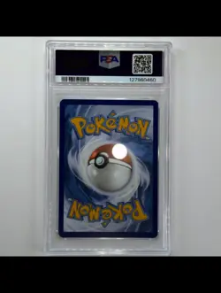 Wartortle 2023 POKEMON Scarlet Violet 151 English ILLUSTRATION RARE #171 PSA 9 - Image 3