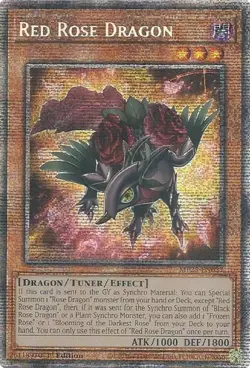 Yugioh! Red Rose Dragon, MP25-EN037, Starlight Rare, 1st Edition - Image 1